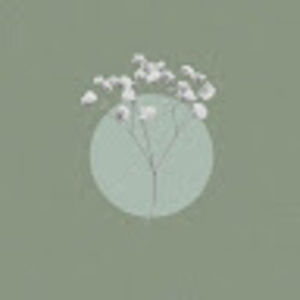 Meet your Posher, Rose-devaney